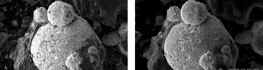 图5-14  碳银混合材料在5kV（左）、20kV（右）电压下的SE图像 