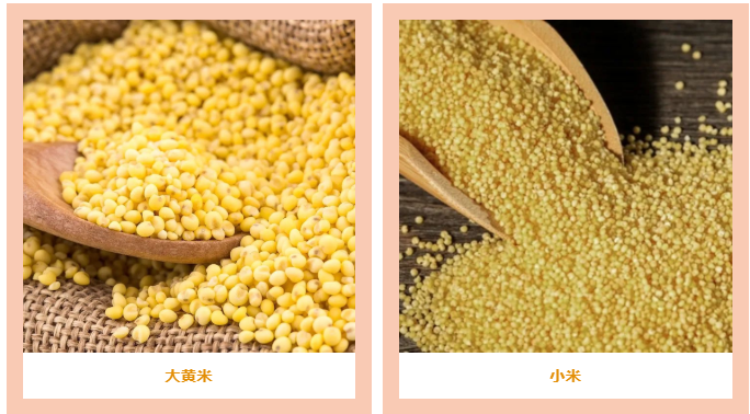 凯氏定氮仪测定大黄米中的蛋白质含量