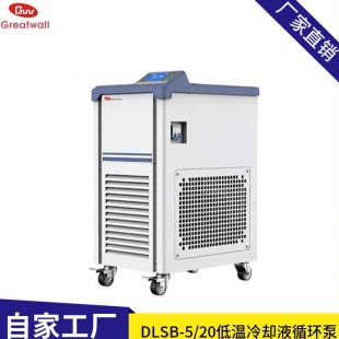 郑州长城  低温冷却液循环泵DLSB-5/20