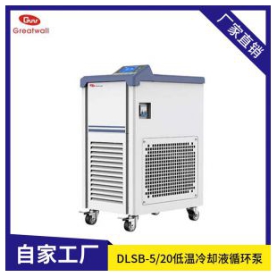 郑州长城  低温冷却液循环泵DLSB-5/10