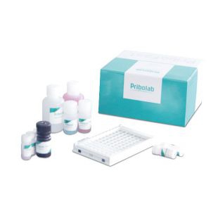 PriboFast®牛奶β-乳球蛋白（β-Lactoglobulin）过敏原酶联免疫检测试剂盒