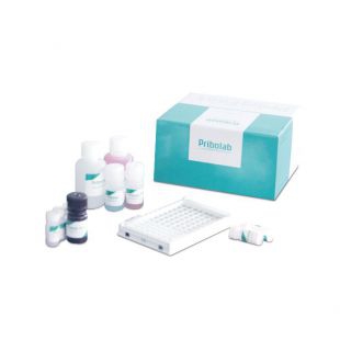 PriboFast®杏仁（Almond）过敏原酶联免疫检测试剂盒