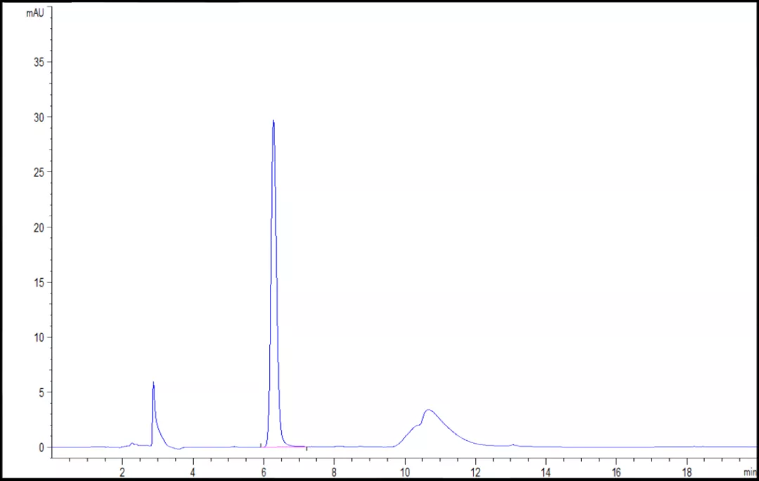 图2.  (10 μg/mL三聚氰胺) 酸性食品模拟物的色谱图.jpg