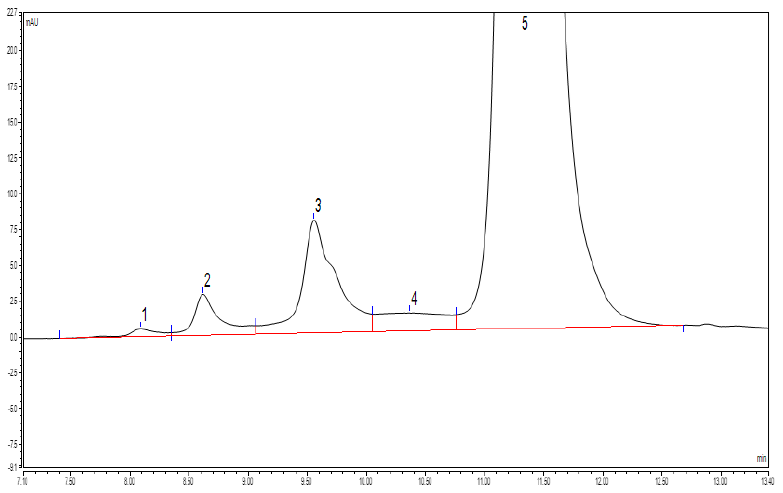 图3. 头孢呋辛分离色谱图.png