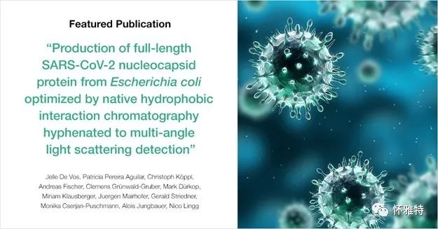 天然疏水相互作用色谱与多角度光散射联用优化大肠杆菌全长SARS-CoV-2核衣壳蛋白的制备