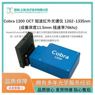 Cobra 1300 OCT 短波红外光谱仪 950-1450nm