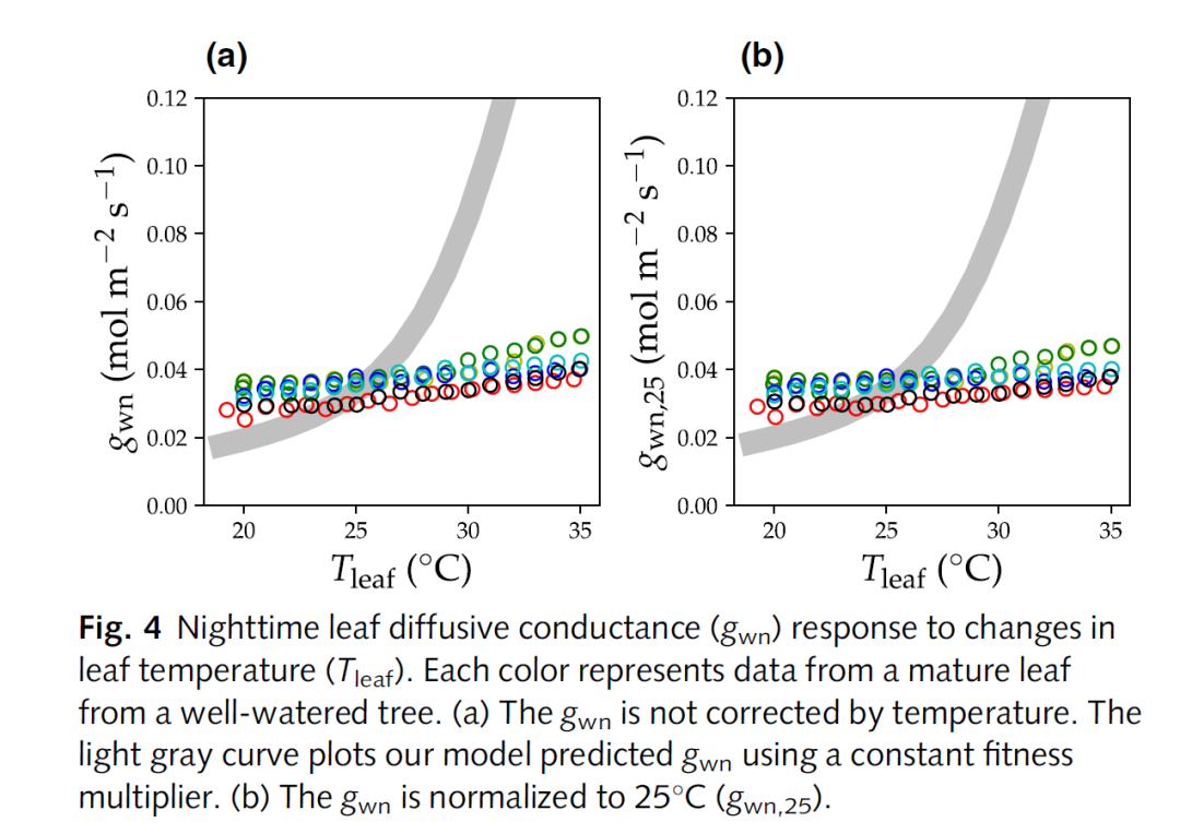 LI-6800应用案例 |ZY化理论解释了植物夜间的气孔响应
