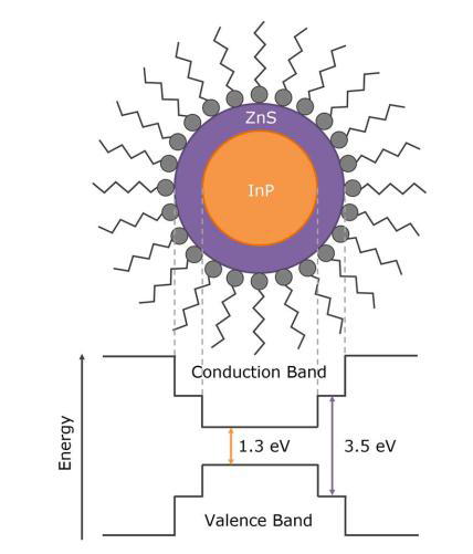 图 1. InP/ZnS 量子点的核-壳结构和能带能图.jpg