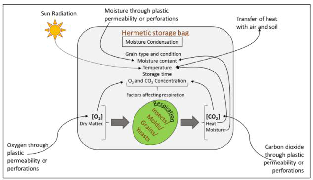 图 2.密封存储中影响谷物和微生物呼吸的因素的图解。图片来自 MDPI .jpg