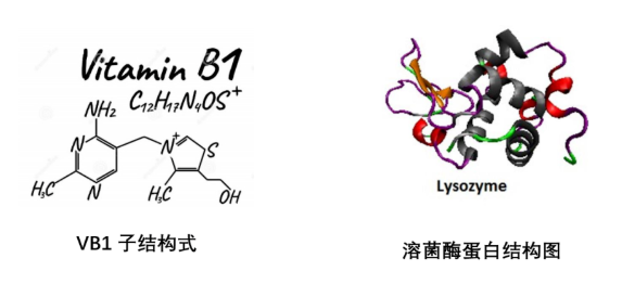 使用BeNano检测VB1和溶菌酶的粒径<em>分布</em>