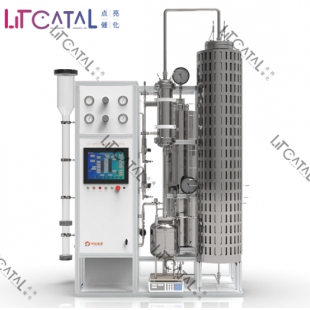 CEL-CPPCF 流化換熱反應系統（訂制系統）