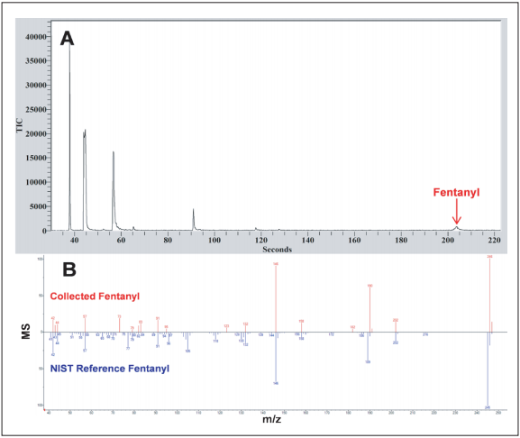 图 5 CME-GC/MS 分析在玻璃器皿上残留的芬太 尼及其类似物的总离子流图（A），溶剂为乙腈；Torion 环状离子阱获得芬太 尼质谱图 （蓝色）与 NIST 数据库芬太 尼质谱图（红色）比较（B）.png