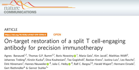 与T细胞结合的抗体衍<em>生物</em>靶向修复用于jing准免疫ZL