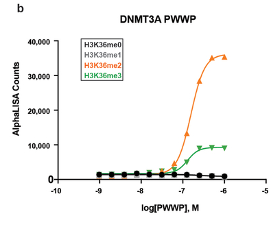 Alpha助力DNA甲基化表型调控新发现