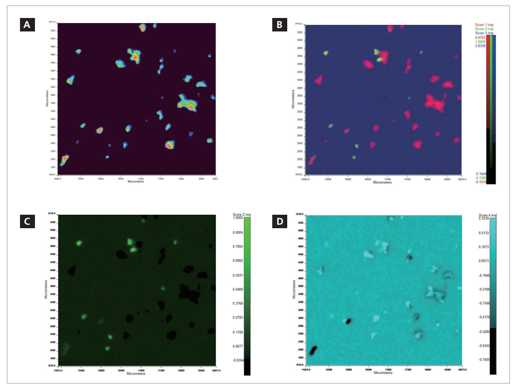 图9a-d.（a）总吸光度红外图像。（b）显示混合组分的PCA分析。不同的组分采用不同的颜色，以区分不同的化学成分类型。（c）2组分图像。（d）4组分图像png