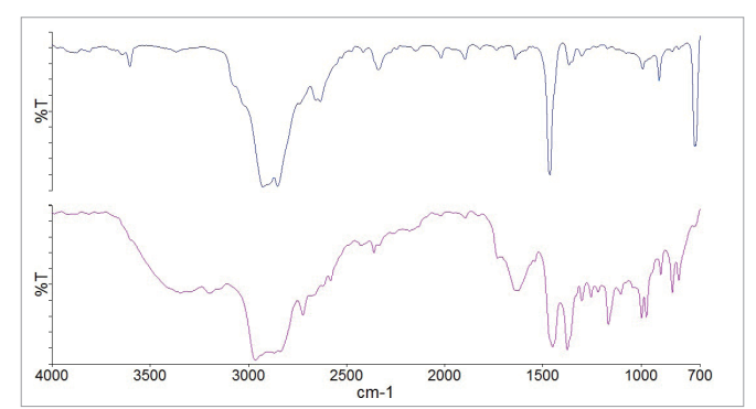 图10.观察到的颗粒光谱；组分4的图像即聚乙烯（顶部），以及组分2的图像即聚丙烯（底部）.png