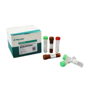 毕赤酵母残留DNA检测试剂盒（qPCR-探针法）