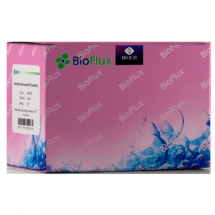 杭州博日 BSC01 Biospin 质粒DNA中量提取试剂盒