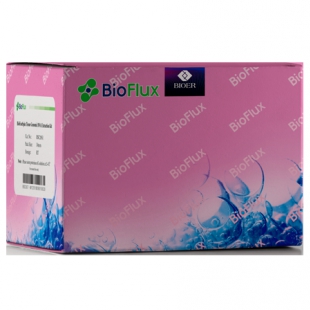 杭州博日 BSC14 Biospin 真菌基因组DNA提取试剂盒