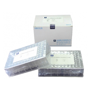 杭州博日 BSC07 MagaBio plus通用基因组DNA纯化试剂盒
