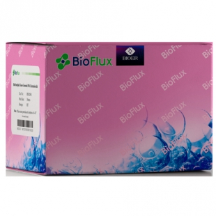杭州博日 BSC01 Biospin 酵母质粒DNA小量提取试剂盒