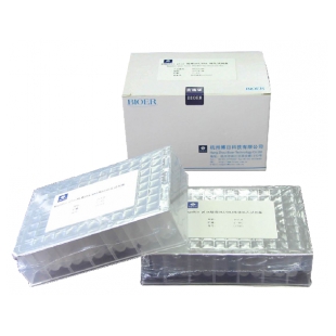 杭州博日 BSC09 MagaBio plus 細菌基因組DNA純化試劑盒