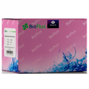 杭州博日 BSC01 Biospin无内毒素质粒DNA大量快速提取试剂盒
