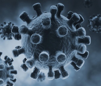博日重磅推出新型冠状病毒2019-nCoV核酸检测试剂盒及整体解决方案