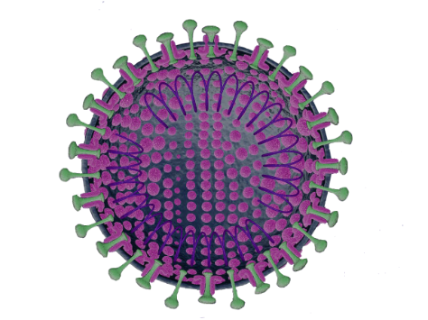 博日重磅推出新型冠状病毒2019-nCoV核酸检测试剂盒及整体解决方案