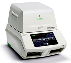 行业诊断 CFX96 深孔实时荧光 PCR 检测系统