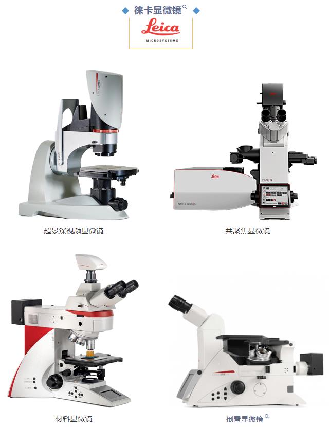 设备更新大潮正式来袭！领拓仪器重磅推出全方位解决方案