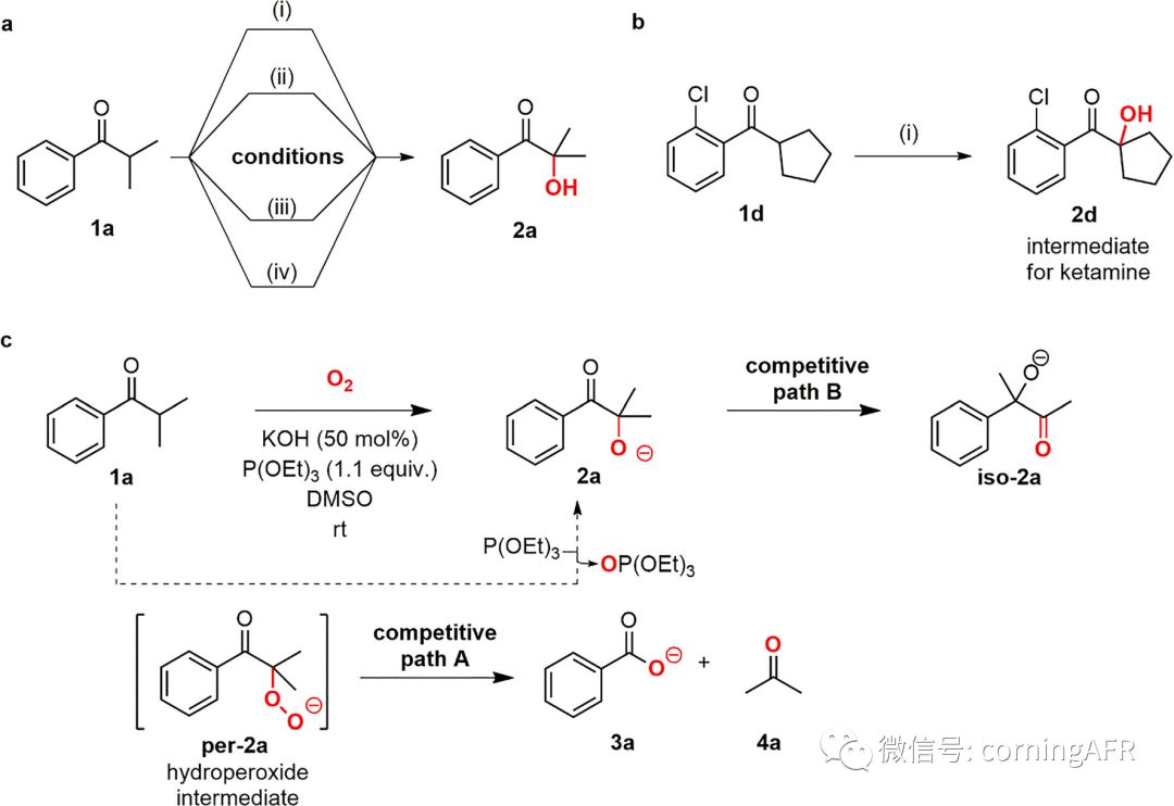 图3. α-醇酮的合成及反应机理介绍.jpg