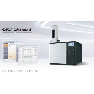 岛津气相色谱仪GC Smart(GC-2018)