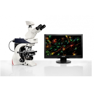 徕卡  Leica DM2500 & DM2500 LED 荧鲜明微镜