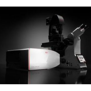徕卡 共聚焦显微镜平台 STELLARIS 8