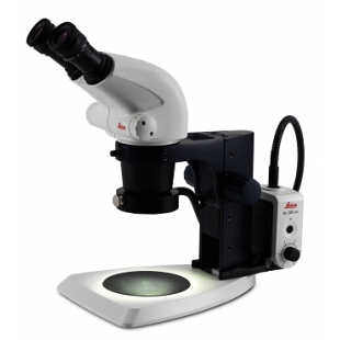 入門級格里諾立體顯微鏡用于三維可視化 Leica S4 E