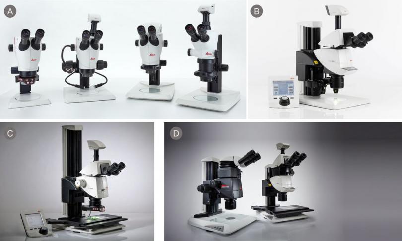 选择体视显微镜时的关键考量因素