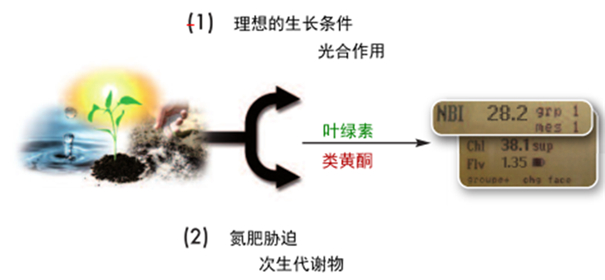 应用案例1.jpg