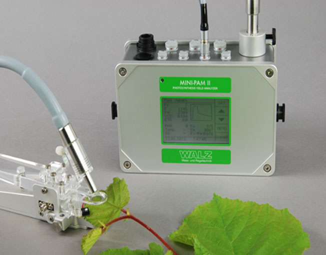 超便攜式調制葉綠素熒光儀——MINI-PAM-II
