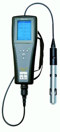 Pro20 溶解氧测量仪