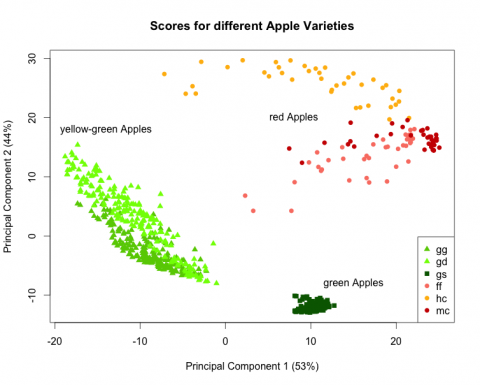 图4.使用不同品种苹果可见光波段的反射图谱进行主成分分析.png