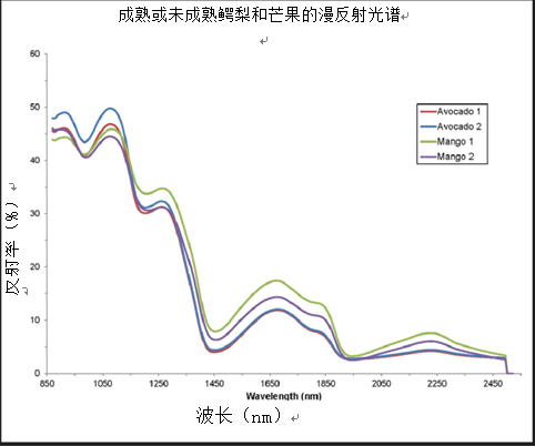 图2：芒果和鳄梨的NIR漫反射光谱揭示了样品之间的差异性.png