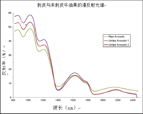 图4：在1900-2500 nm之间未成熟鳄梨的光谱特征极为一致.png