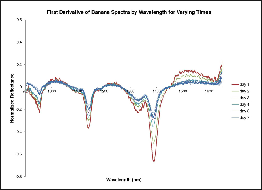 图 3︰ 香蕉表面近红外反射光谱的一阶导数与波长的关系.jpg