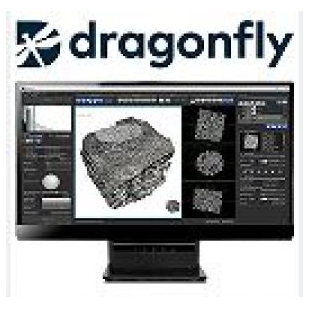 加拿大Dragonfly三维图像分析软件_可选AI深度学习解决方案