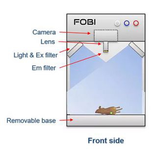 FOBI小动物活体成像系统，整体荧光成像系统