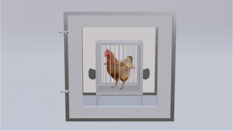 SSI 能量代谢测量系统在家禽方面的应用 