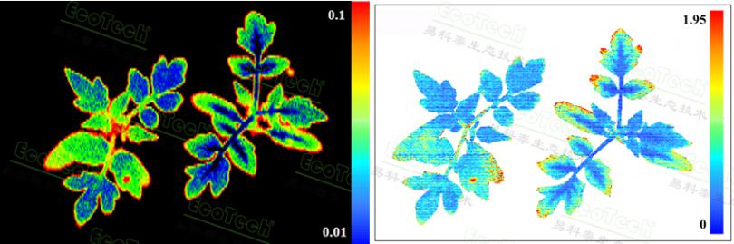 UV-MCF生物荧光高光谱成像技术