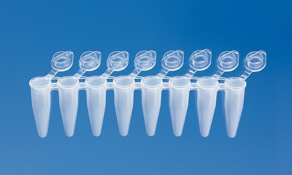 PCR-tube strips of 8, PP, attached transparent single 