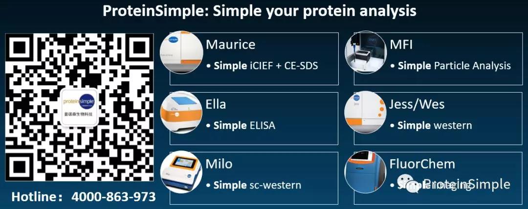 ProteinSimple将在武汉光谷生物学术年会介绍生物制药表征​全线解决方案
